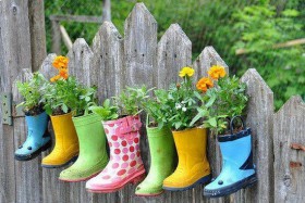 plants in rubber boots