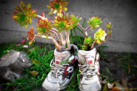macizo de flores en los zapatos de los niños