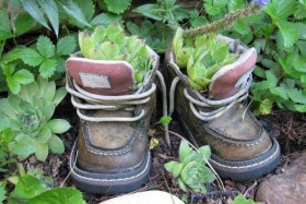 flowerbed in children&#39;s shoes