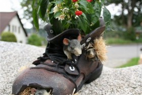 zapatos de flores