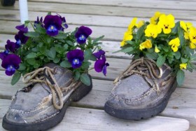 flowers in old shoes