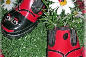 flowerbed of shoes