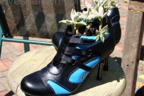 flowerbed of women&#39;s shoes