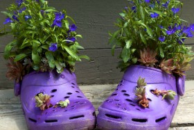 flores en botas