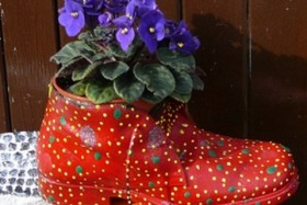 fleurs dans une chaussure