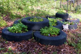 flowerbed of tires