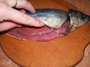 cut a herring