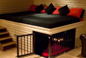 cama y compartimento para perros