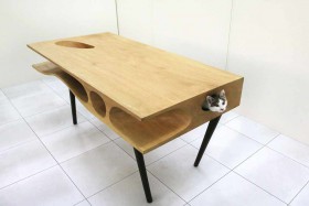 table with a niche for a cat