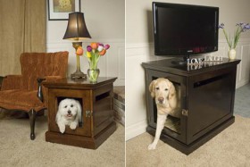 meubles pour chien