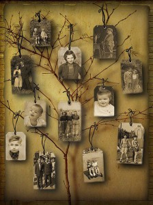 ideas para arboles genealogicos